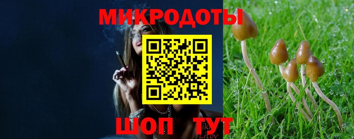 Псилоцибиновые грибы Psilocybine cubensis  Вход с VPN  Галлюциногенные грибы мухоморы  Ялуторовск 